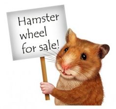 hamster